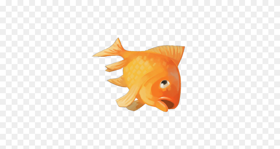 Goldfish, Animal, Fish, Sea Life Free Png