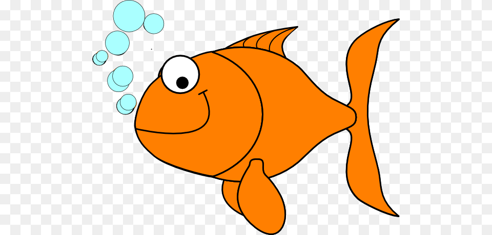 Goldfish, Animal, Fish, Sea Life, Shark Png