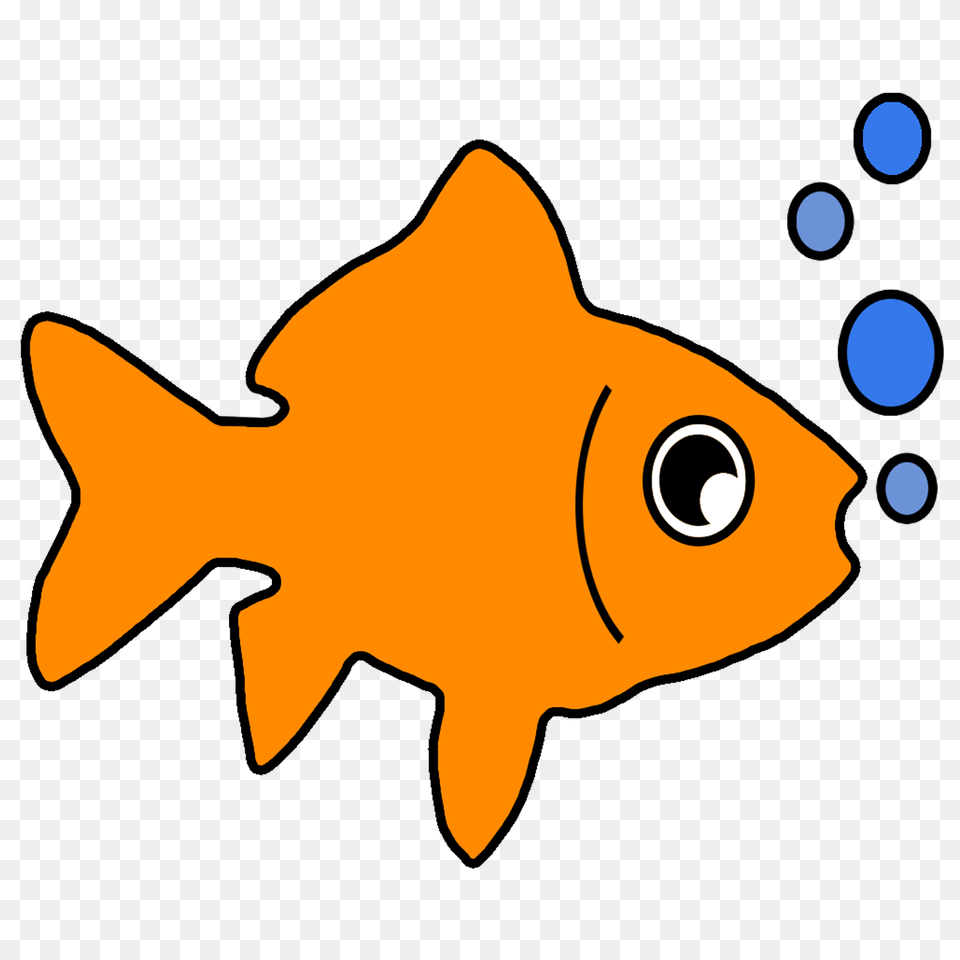 Goldfish, Animal, Fish, Sea Life, Shark Free Png Download