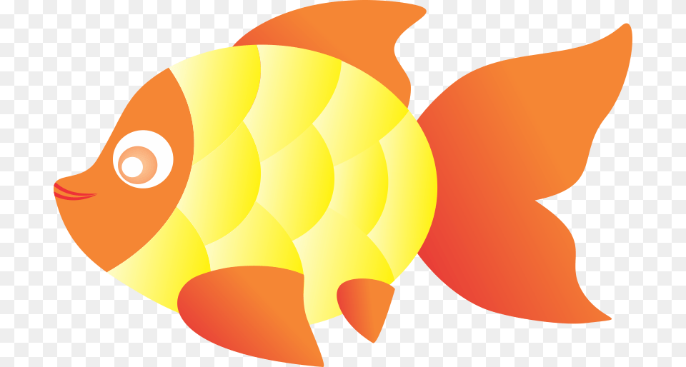 Goldfish, Animal, Sea Life, Fish Png Image