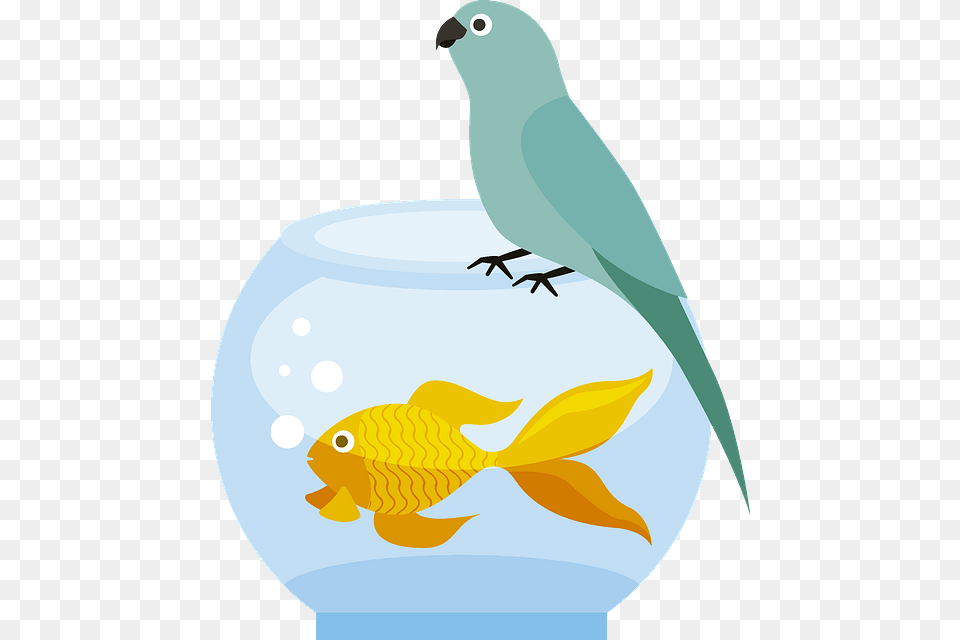 Goldfish, Animal, Sea Life, Fish, Bird Free Transparent Png