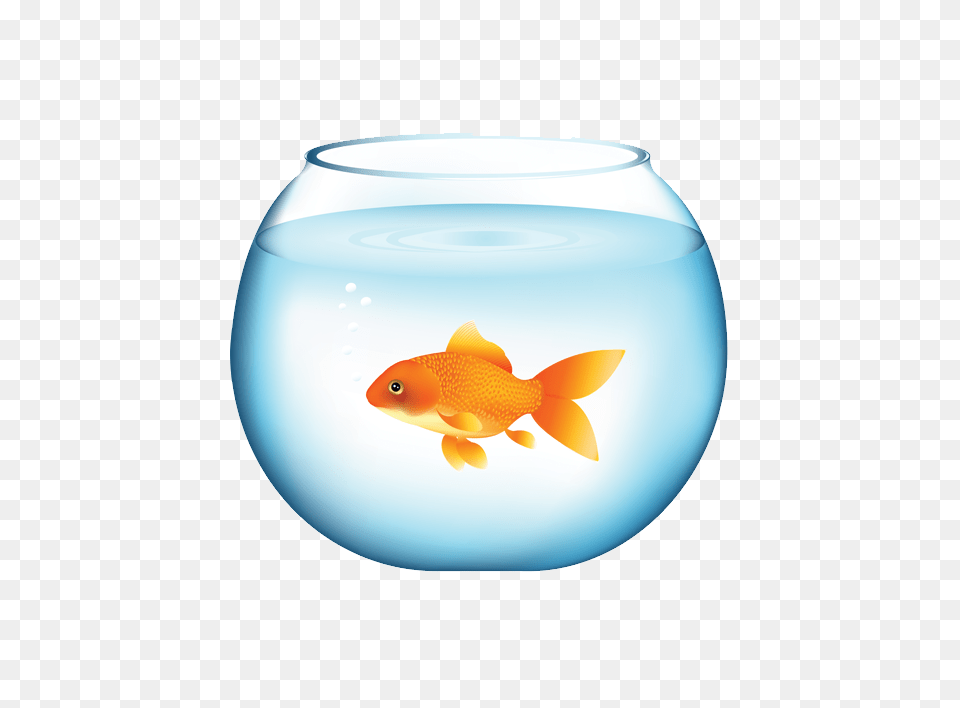 Goldfish, Animal, Fish, Sea Life Png Image