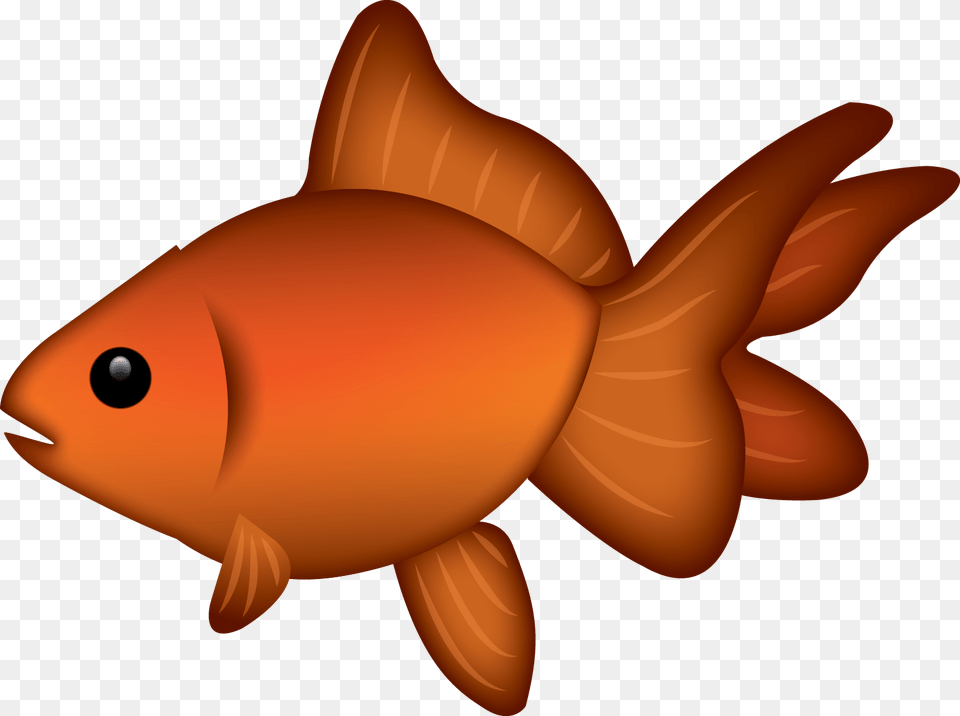 Goldfish, Animal, Fish, Sea Life, Shark Free Transparent Png