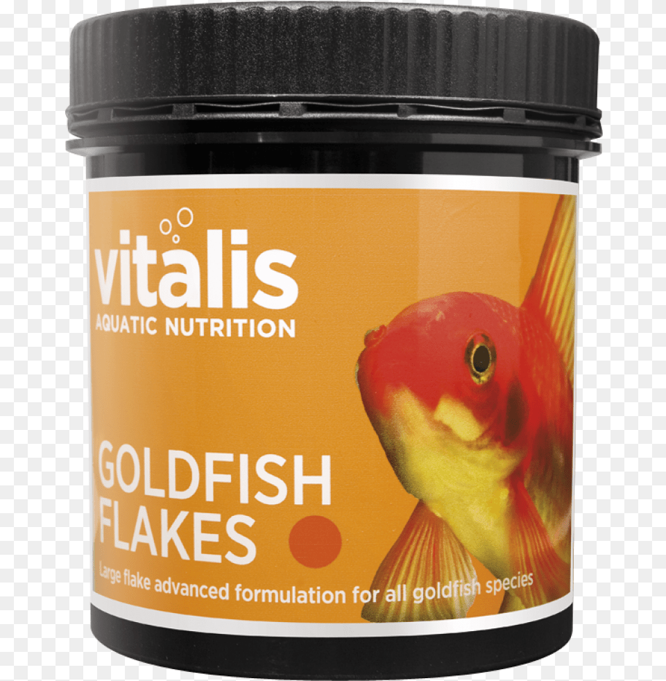 Goldfish, Animal, Fish, Sea Life Free Png