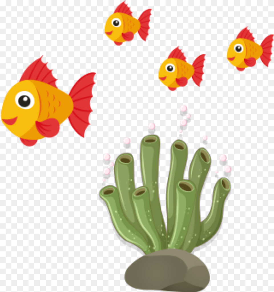 Goldfish, Animal, Fish, Sea Life Free Transparent Png