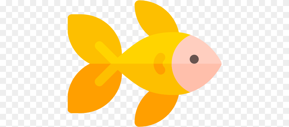 Goldfish Animals Icons Icono Pez, Animal, Sea Life, Fish, Shark Free Transparent Png