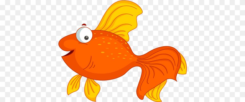 Goldfish Cartoon Clip Art Kemal Sunal 556 Gold Fish Cartoon, Animal, Sea Life, Baby, Person Png