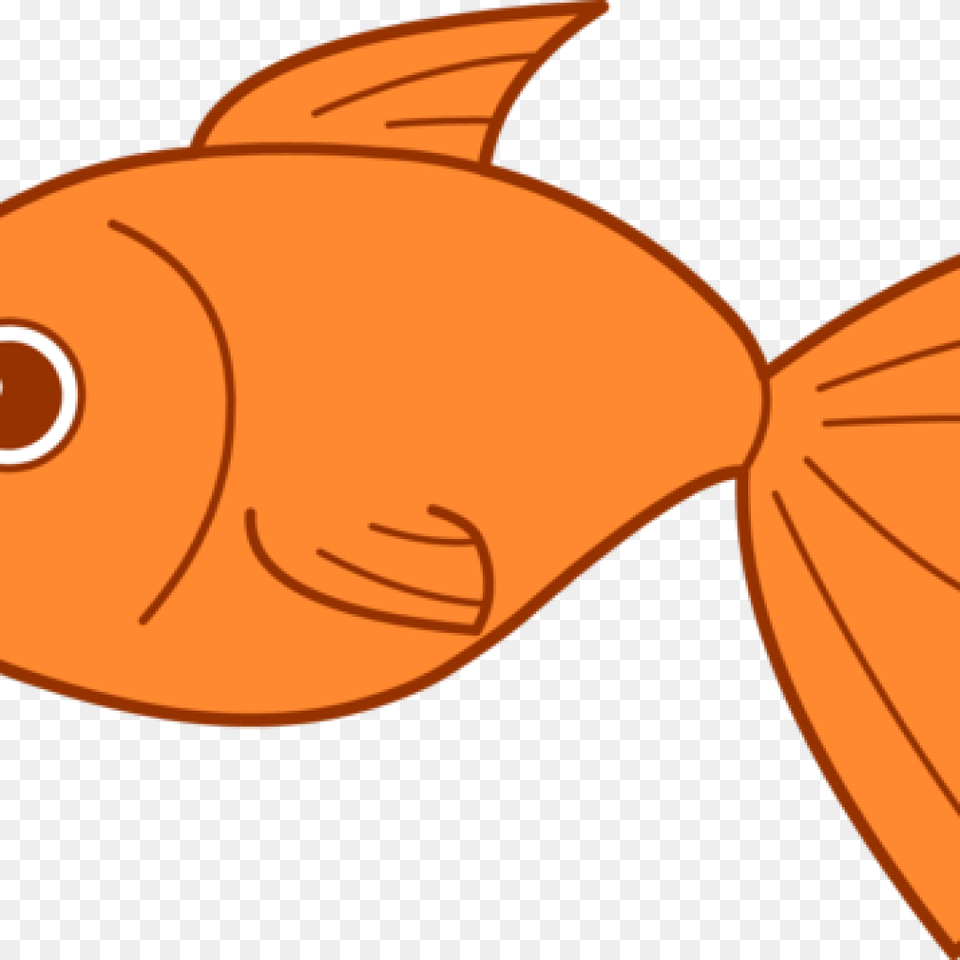Goldfish Clip Art Goldfish Clipart Clipart Panda Fish Clipart, Animal, Sea Life, Person Free Transparent Png