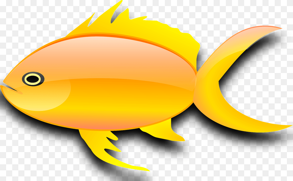 Goldfish Clipart, Animal, Fish, Sea Life Free Transparent Png