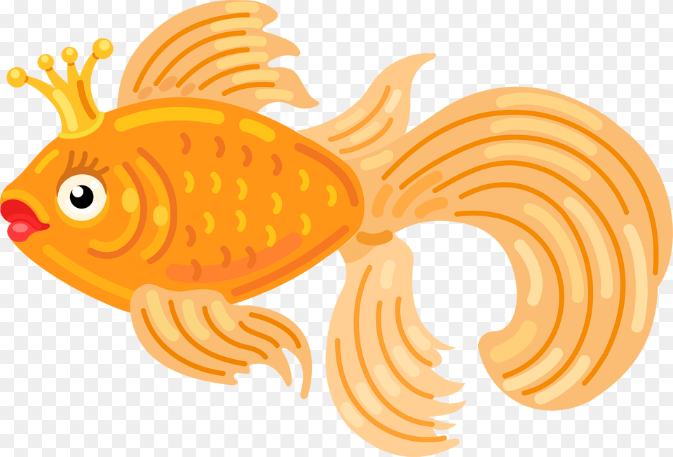 Goldfish Clipart, Animal, Sea Life, Fish Png