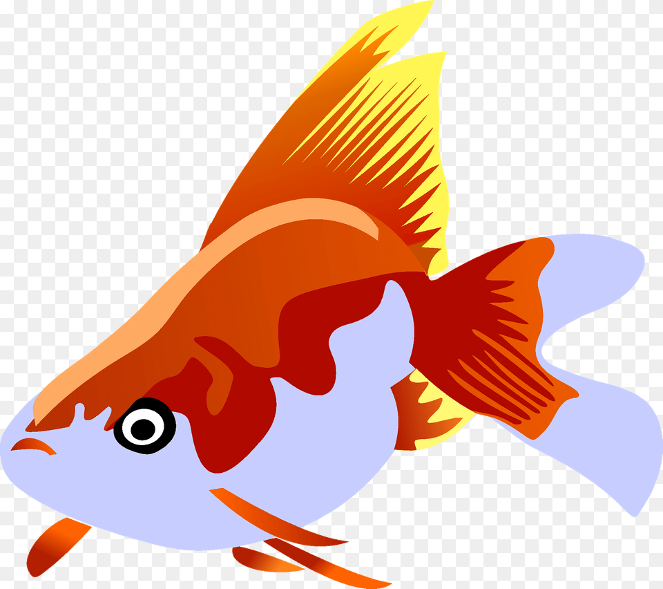 Goldfish Clipart, Animal, Fish, Sea Life, Shark Png