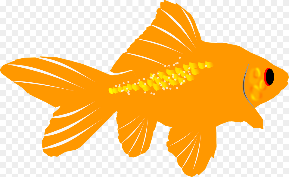 Goldfish Clipart, Animal, Fish, Sea Life, Shark Free Transparent Png