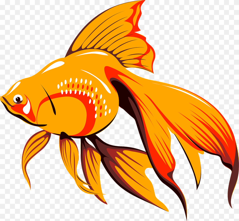 Goldfish Clipart, Animal, Fish, Sea Life, Shark Png Image