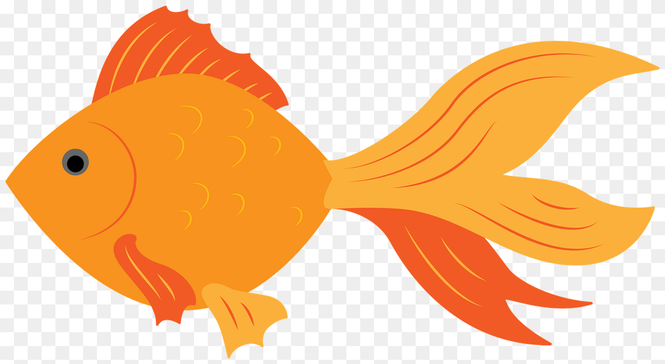 Goldfish Clipart, Animal, Fish, Sea Life, Shark Free Png
