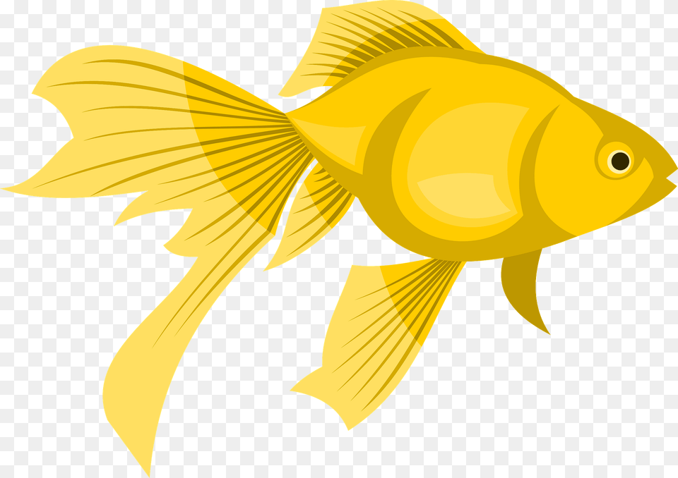 Goldfish Clipart, Animal, Fish, Sea Life, Shark Free Png