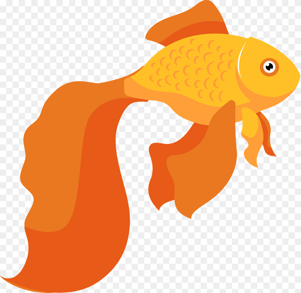 Goldfish Clipart, Animal, Sea Life, Fish, Baby Free Png Download