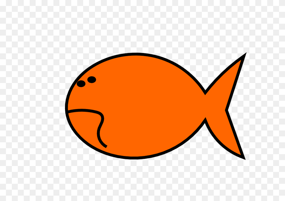 Goldfish Clipart Orange Things, Animal, Fish, Sea Life, Shark Free Transparent Png