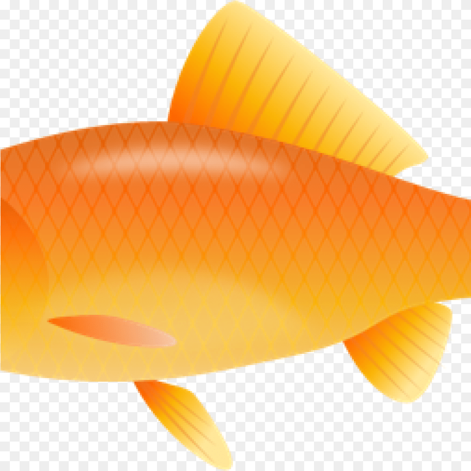 Goldfish Clipart Real Fish Clipart And Transparent Background, Animal, Sea Life, Appliance, Ceiling Fan Free Png