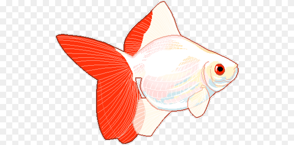 Goldfish Clipart Tumblr Fish, Animal, Sea Life, Shark Free Transparent Png
