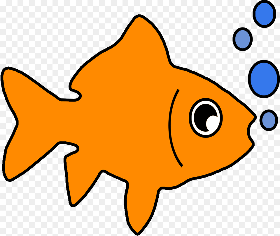 Goldfish Coral Reef Fish, Animal, Sea Life, Shark Free Png Download