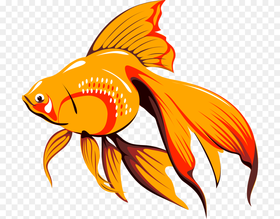 Goldfish Drawing Computer Icons, Animal, Fish, Sea Life, Shark Free Png Download