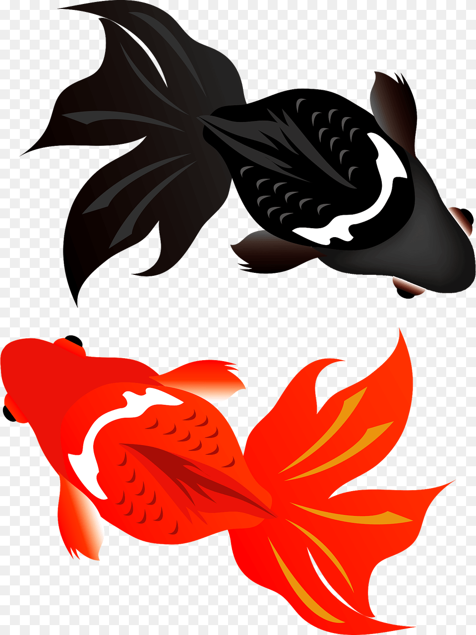 Goldfish Fish Clipart, Animal, Sea Life, Carp, Koi Free Png