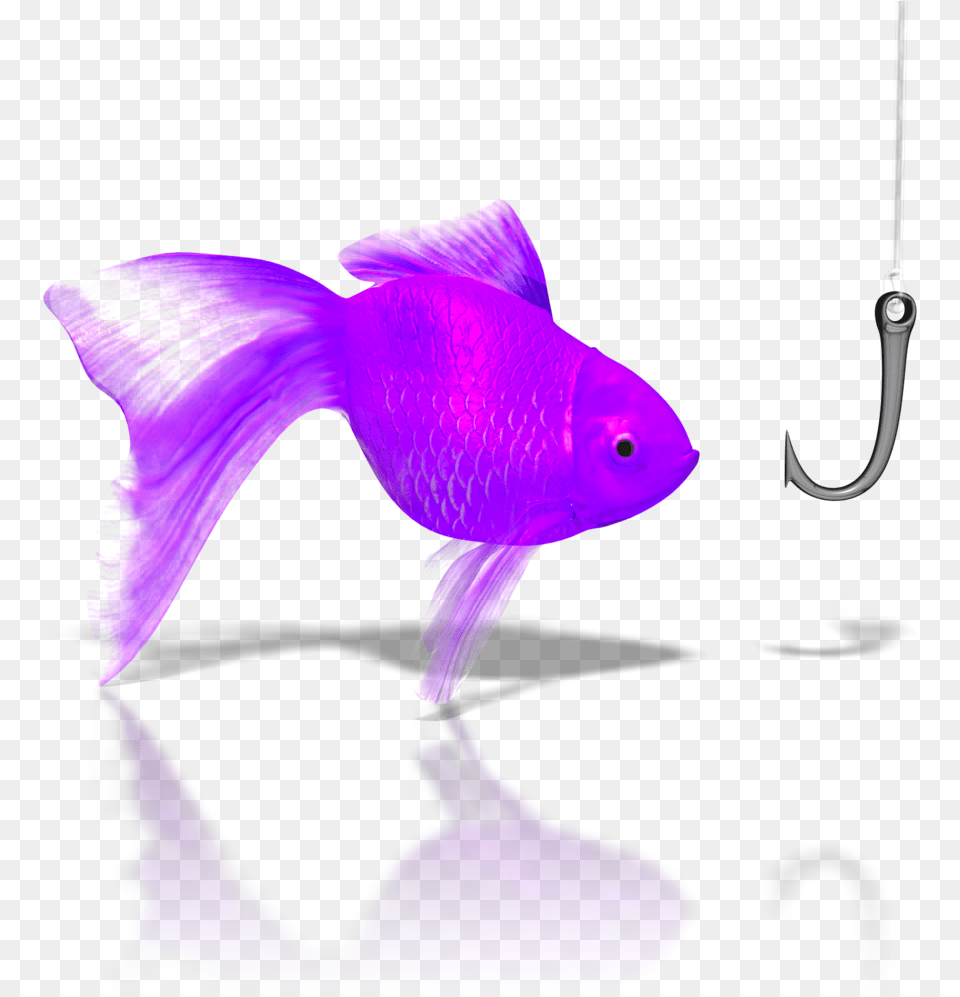 Goldfish Hook Pressman Toy Let39s Go, Animal, Sea Life, Fish, Electronics Free Png