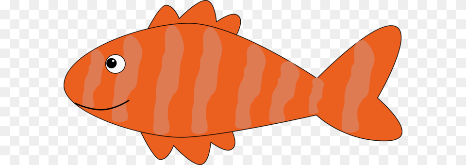 Goldfish Koi Cartoon Drawing, Animal, Sea Life, Fish, Shark Free Png Download