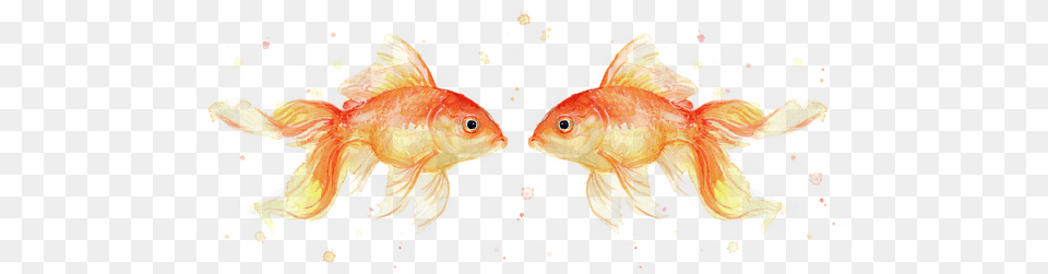 Goldfish Love Watercolor Tank Top Goldfish Painting Watercolor, Animal, Sea Life, Fish Free Png