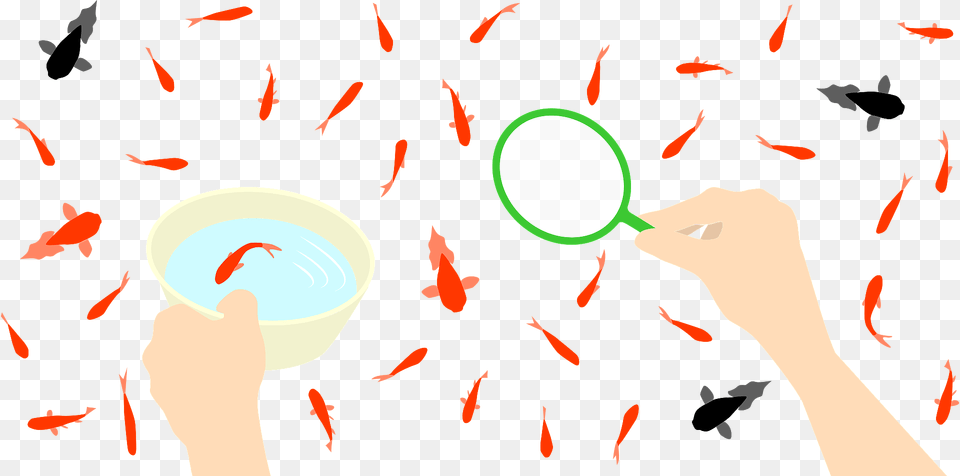 Goldfish Scooping Clipart, Animal, Fish, Sea Life, Person Free Png