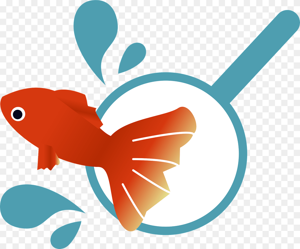 Goldfish Scooping Clipart, Animal, Fish, Sea Life, Shark Png
