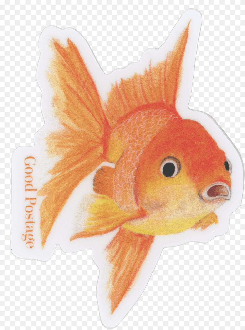 Goldfish Sticker Goldfish, Animal, Fish, Sea Life Free Transparent Png