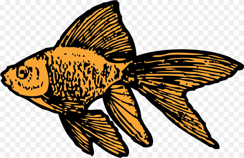 Goldfish Svg Clip Art For Web Clip Art Goldfish Clip Art, Animal, Fish, Sea Life, Person Free Png Download