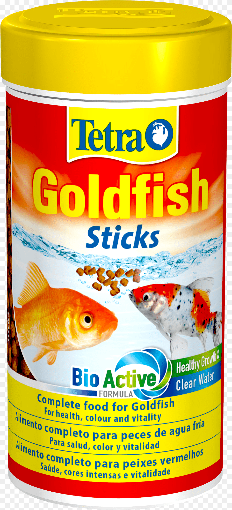 Goldfish Tetra, Animal, Fish, Sea Life, Can Free Png Download