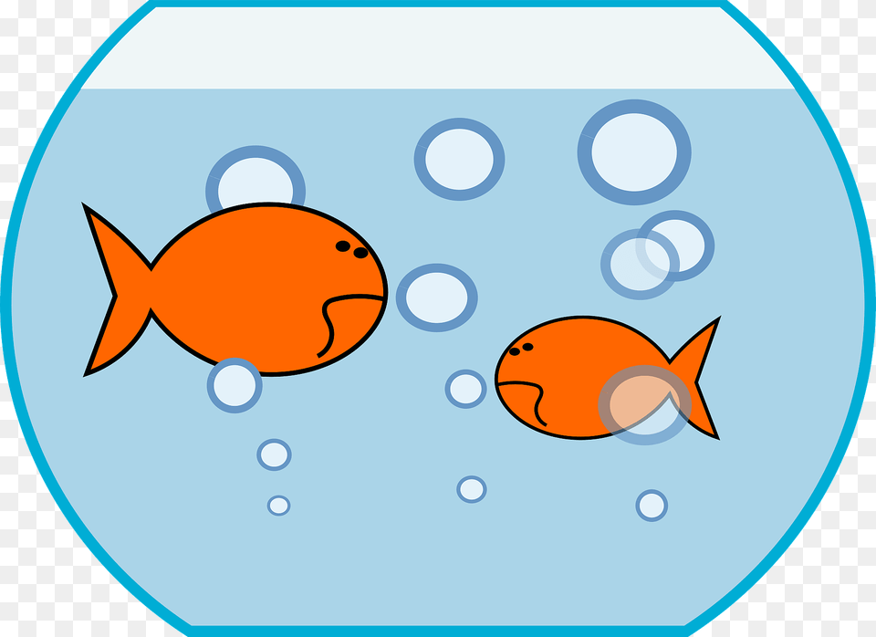 Goldfishes In A Bowl Clipart, Animal, Sea Life, Fish, Goldfish Free Png Download