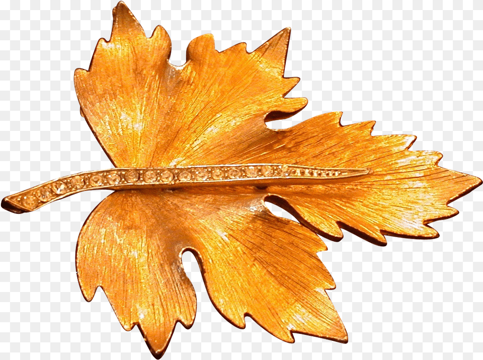 Goldtone Textured Metal Leaf Pin Wrhinestone Stem Cartoon Seashell Clip Art, Accessories, Plant, Jewelry, Bronze Png Image