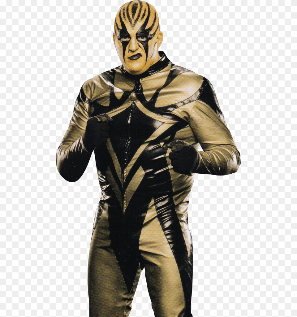 Goldust Wwe Goldust, Clothing, Costume, Person, Adult Png Image