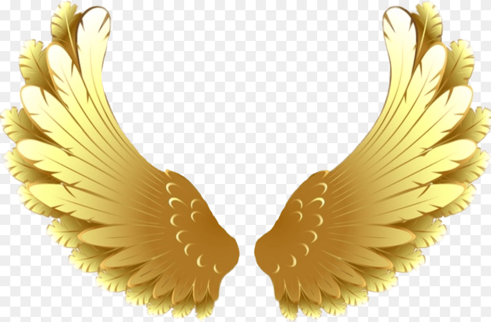 Goldwings Wings Golden Goldenwings Pretty Soft Gold Wings Background, Animal, Bird, Chicken, Fowl Free Transparent Png