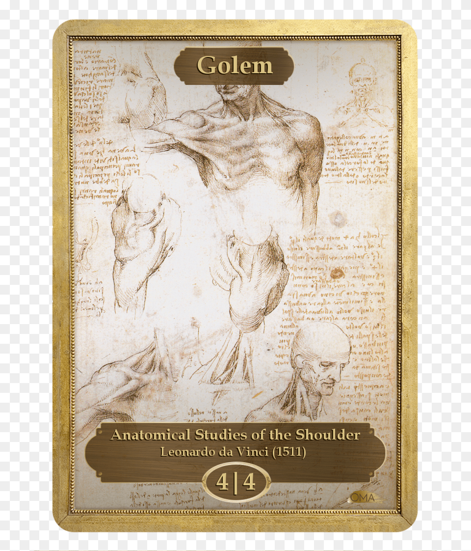 Golem Token By Leonardo Da Vinci Anatomical Studies Of A Male Shoulder, Art, Painting, Text, Person Free Png Download