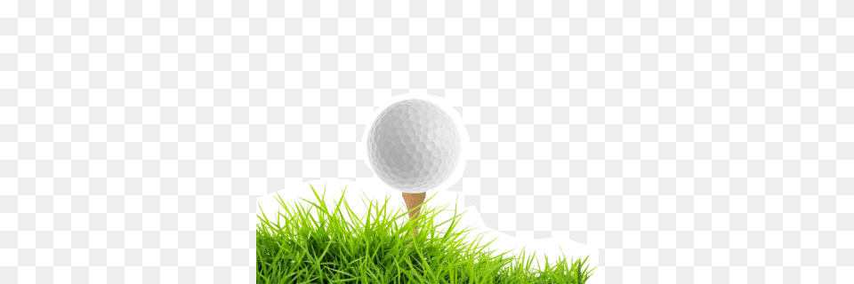 Golf, Ball, Golf Ball, Sport Png