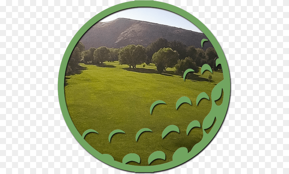 Golf, Field, Grass, Plant, Nature Png