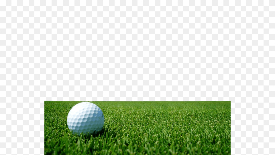 Golf, Ball, Golf Ball, Sport, Grass Free Png Download