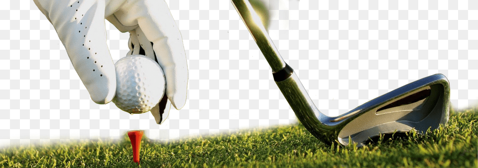 Golf, Sport, Ball, Golf Ball, Grass Png