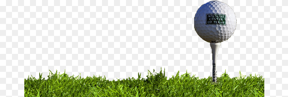 Golf Ball And Tee Golf Ball And Grass, Golf Ball, Sport, Plant Free Png
