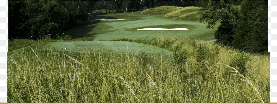 Golf Club, Field, Nature, Outdoors, Golf Course Free Png