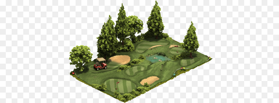 Golf Course Cypress Family, Field, Plant, Outdoors, Nature Free Png