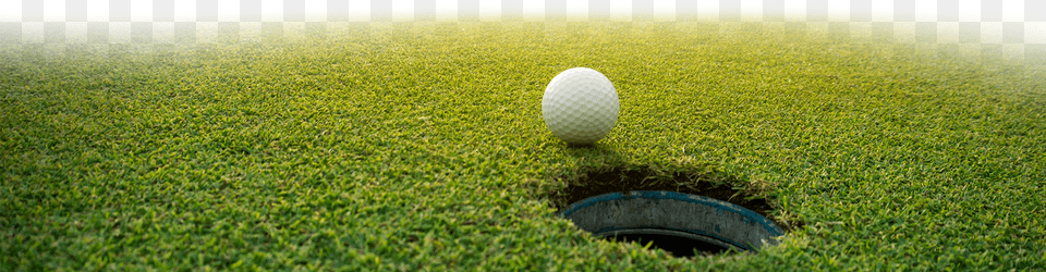 Golf Course Green, Plant, Grass, Hole, Field Png
