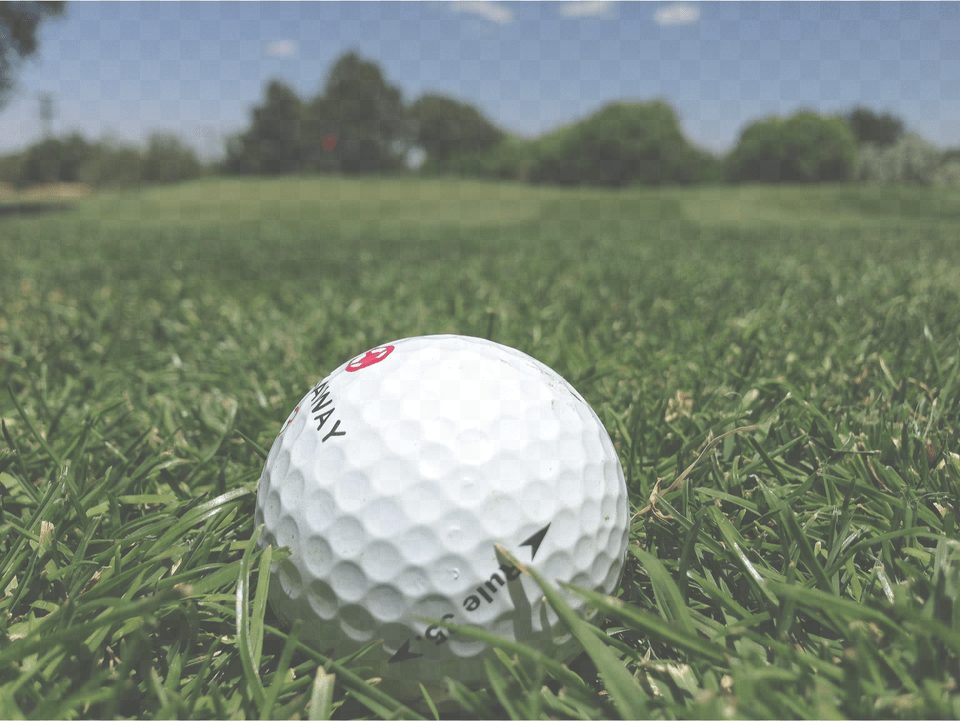 Golf Grass, Ball, Golf Ball, Sport, Plant Free Png Download