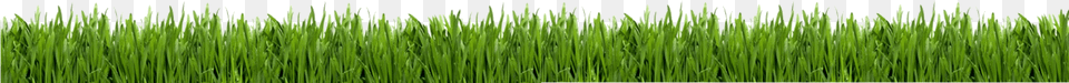 Golf Grass Lawn Care Business Guide Book, Plant, Vegetation, Green Free Transparent Png