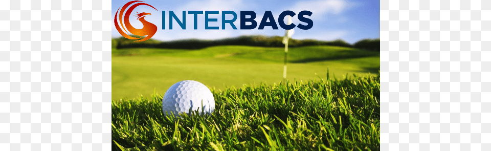 Golfing Direct Debit Interbacs Single Figure Golfer How To Get Your Handicap Really, Plant, Grass, Field, Ball Free Png Download